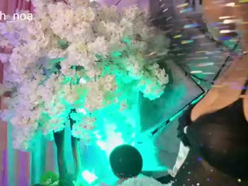 elit_noa — cam show live