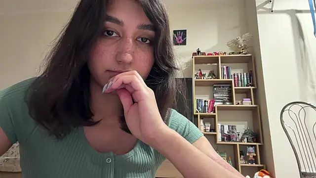 PaintedDisplay — cam show live